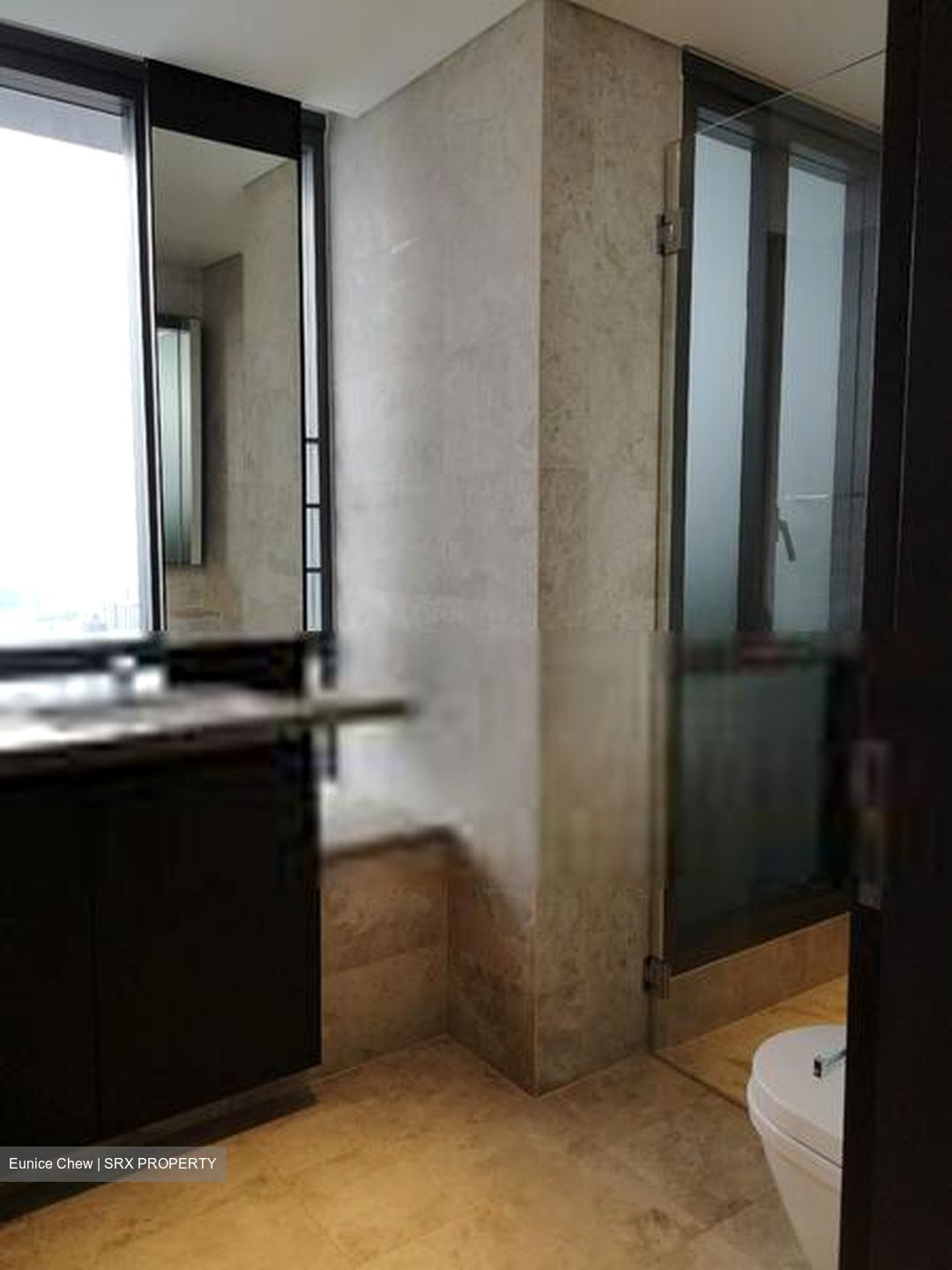 Skysuites@Anson (D2), Apartment #408811801